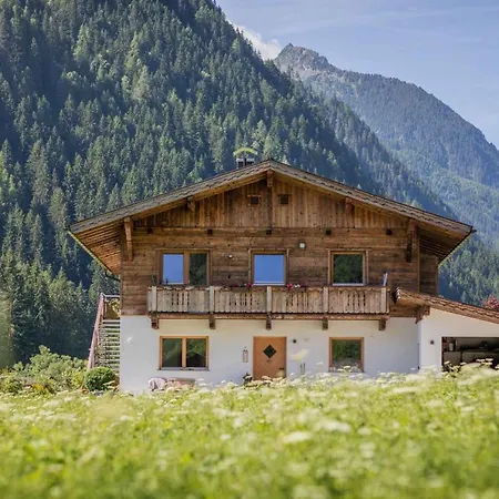 Daire Gletscherstern *